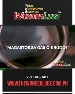 Wonderlube Maximum Performance (BUNDLE of 2 Bottles 60mL) Organic Oil Engine Treatment & Metal Protector for Car & Motor