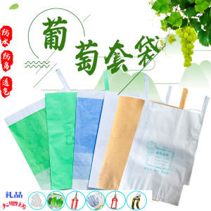 Sun Protection Grape Fruit Bags White Paper Bag Pomegranate Anti Bird Rain Proof Rose Apple Mango Gardening Supplies