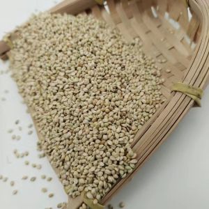 Adult Children Neck Pillow Core Filling Rice Hulls Dull Grains Cotton Rectangular Single Person Bedding Rectification