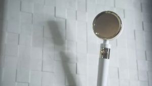 GoodSense 4way Pure Water Shower Head