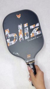 Vợt Pickleball hiệu BLiz Sợi Thủy Tinh BlizL3-620