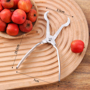 304 Stainless Steel Hawthorn Seed Remover Tool Specialized Kitchen Utensil for Ice Sugar Coated Fruits And Haws