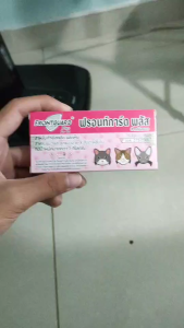 ถูก🔥 ยาหยอดเห็บหมัด (Frontguard Plus) สำหรับสุนัขและแมว กำจัดเห็บหมัดฟรอนท์ การ์ด