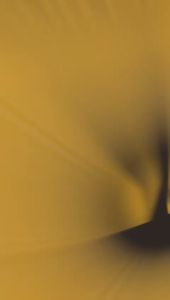 Perontok Bulu Ampuh Kondang Hair Removal Spray Bulu Kaki Tangan Dada