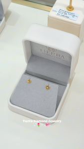 [CHAT TRƯỚC KHI ĐẶT] Bông Tai Tierra FBT5021 Vàng 14K/ 18K Thiết Kế Hình Trái Tim