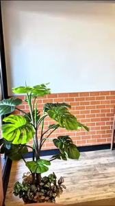 CHERILON Comfort Socks เชอรีล่อน ถุงเท้า ถุงเท้าข้อเว้า 70 ดีเนียร์ นุ่ม สบาย กันรองเท้ากัด ระบายอากาศดี NSA-NEFC03