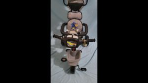 Tricycle Sepeda Anak Roda Tiga Family Paolo F-860J Murah