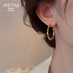 WENXI | Luxurious Face-slimming Earrings