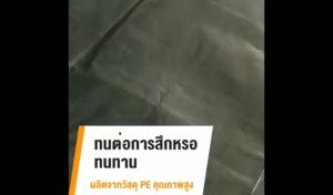 ผ้าใบกันแดดฝน ผ้าใบกันน้ำ ผ้าใบพลาสติก PE (มีตาไก่) ราคาต่ำสุด 249฿ - 3x3 3X4 3x5 4X5 4X6 5x6 5x8 6x8 เดีย