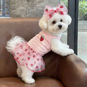 Petone dOrage | Breathable Pet Apparel Anti Shedding