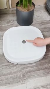 Đế Kê Chậu Cây-Đế Lót Chậu Hoa Cây Cảnh Có Bánh Xe Di Chuyển Đa Năng  khay hứng nước tiện lợi [bánh xe có khóa chốt] Đế Di Chuyển Chậu Cây Có Khay Hứng Nước Thông Minh - Đế Lót Chậu Cây Tiện Lợi