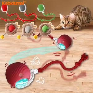 Kebidumei Electric Cat Ball Toys: Automatic Rolling Ball & Rechargeable Smart Pet Interactive Plush Toy