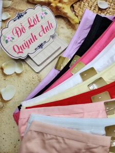 Set 5 Quần Lót Cotton Có Túi Co Giãn Tốt Thoáng Mát 843 từ 55 tới 70kg  - Đồ Lót Quỳnh Anh