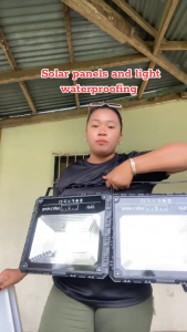 Better Light Outdoor Solar Light Energy Saving LED 30 Year Warranty Solar Flood Light  IP68 Waterproof  Street Lamp  Garden  Light
