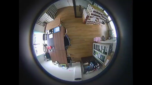 Eagle Eye - กล้องวงจรปิด360องศา (ทรงจานบิน) รุ่น EG-FLV3601