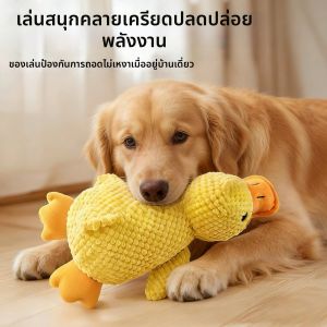 MUHONGYU | Plush Squeaky Dog Toy