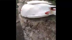 เหยื่อกำจัดนกพิราบและนกทุกชนิด กินง่ายตายไว เห็นผลชัวร์ 500% ไม่มีนกรบกวน ยาเบื่อนก 500g ตายกลางแจ้ง ตายแห้งไม่เหม็น ยาฆ่านกพิราบ ยากำจัดนกพิราบ ยาเบื่อนกพิราบ