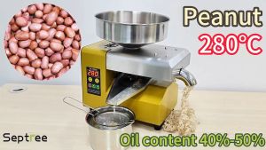 Máy ép dầu ăn thực vật thế hệ thứ 4 hoàn toàn mới. Thương hiệu Mỹ cao cấp Septree - R8S - HÀNG CHÍNH HÃNG BẢO HÀNH 12 THÁNG