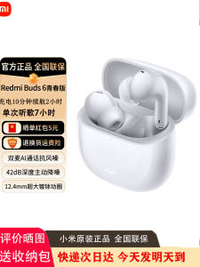Redmi Buds 6 Youth Edition In-Ear Bluetooth Earphones Long Battery Life Active Noise Reduction Wireless Communication