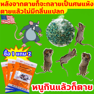 1 คืน หนูตายหมด ยาเบื่อหนู  RATICIDE 150g ซื้อ 1 ได้ 2 นำเข้าจากอเมริกา ยาไล่หนูบ้าน ทำจากข้าวสาลี กลิ่นโปรดของหนู ยากำจัดหนู ไม่มีหนูภายใน 1000 ตารางเมตร ยาฆ่าหนู ปลอดภัย ใช้ง่าย ชนิดไม่ต้องผสมอาหาร รักษาสิ่งแวดล้อม ปลอดภัยต่อคนและสัตว์เลี้ยง ฆ่าทั้งรัง