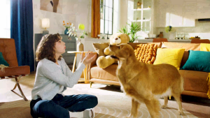 AUTOBOT x JONR ED12 Lite เครื่องล้างพื้น เครื่องดูดฝุ่นถูพื้น ไร้สาย ดูดน้ำ ขัดถูพื้น