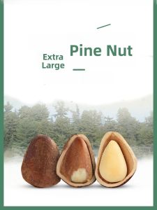 Unprocessed Extra Large Red Pine Nuts Whole Grain Snacks from Heilongjiang Yichun Wild Harvested 500g Bag