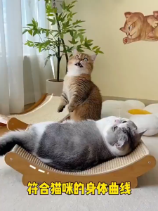 Sisal Cat Scratch Board 2in1 Large Size Cat Scratching Board Wear-Resistant Non-Chip Anti-Scratching Sofa Protection Cat scratcher Board Cat Nest Integrated