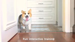 Interactive Treat Dispenser Tennis Ball Launcher for Dogs - New Pet Training Toy for All Breeds