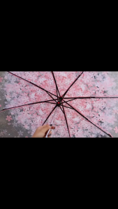 Romantic Cherry Blossom Transparent Folding Umbrella Fresh Transparent Three-Fold Umbrella