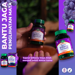 2 BOTOL Kapsul Bilberry Darusyifa - Suplemen Kesehatan Mata Minus Plus Buram Isi 60 BPOM
