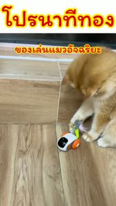 ของเล่นแมวอัจฉริยะ/Mochi.mochi Shop/ทาสว่าใช่ แมวว่าชอบ