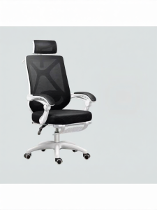 MOLORE | Ergonomic Comfortable Chair