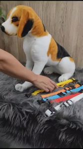 Pet Collar Dog Cat / Tali Kalung Hewan Anjing Kucing Nylon - LED