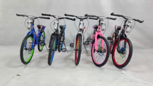 READY STOCK TO SHIP CANDY KIDS 20" INCH INCI BICYCLE BASIKAL BUDAK UMUR 7 - 12 YEARS TAHUN 80% CBU ASSEMBLY SIAP PASANG Y FRAME DISC BRAKE FREE BOTTLE