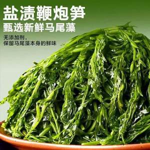Commercial Seaweed Fiddlehead 5 Pounds