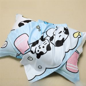 Elegant Ice Silk Pillowcases Pair 48cmx74cm Home Use Childrens Pillow Covers 2025 New Whole Set Single High Grade