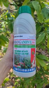 [TRUNG THIEN THINH] Combo 5 chai trừ nấm bệnh phổ rộng (hoạt chất Hexaconazole nguyên liệu Ấn Độ) HoangANhVIL  đạo ôn đốm vằn nấm hồng phấn trắng thán thư