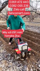 Địa Chỉ Bán Máy Xới Đất Xạc Cỏ Làm Vườn Yamaha 144F