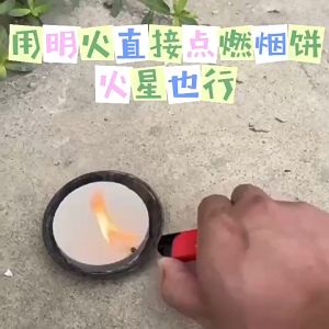 10Pcs/Box Smoke Aid Decor Halloween Smoke Putih Combustion Smoke Effect