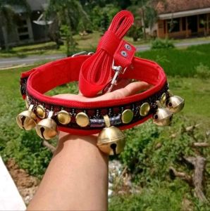 KALUNG SAPI KALUNG KAMBING MOTIF BATIK TERBARU LENGKAP DENGAN TALI TUNTUN