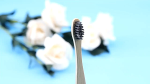 SPEEDS Sikat Gigi Bambu Toothbrush Biodegradable atasi Bau Mulut Karang Gigi Eco Friendly 074-2