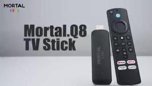 Google Voice Q8 Android 14 TV Stick Full HD 4K 1080P WiFi 6 BT5 Netflix YouTube 24Fps Wireless Video Decode Media Player