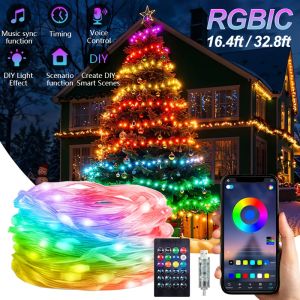 Bluetooth Control USB LED String Lights Christmas RGBIC Dreamcolor Fairy Light for Indoor Outdoor Garden Wedding Party Decor