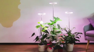 SG IN STOCK Plant Grow Light LED Full Spectrum USB Indoor Plant Lamp Adjustable Height with Timer Dimming Potted Plants