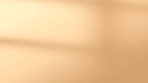 四神汤茯苓芡实莲子山药300g Children Family Wellness strengthen digestive relief heat Spleen and stomach dampness nourishing Yuezi meal