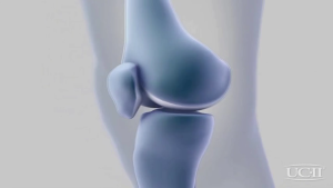 Preme ยูซี-ทู อความิน UC II ผลิตภัณฑ์เสริมอาหารดูแลสุขภาพคอลลาเจนไทป์ 2 collagen type two 30 เม็ด