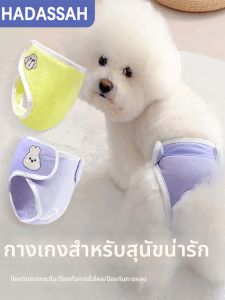 Hadassah | Sanitary Pant for Dogs