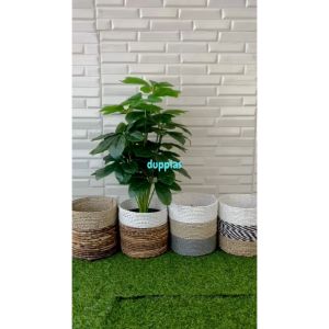 Pohon Artificial Tanaman Hias Anubias Hijau X18 Semilatex Cover Pot Anyaman Seagrass Variasi Warna Dekorasi Rumah