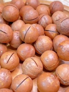 Mr.Squirrel Macadamia Nuts 500g/1kg Roasted Macademia Nuts Ready To Eat Unsalted Healthy Snacks For Diet Green Food Wholesale