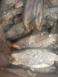 Ikan Asin SUPER MURAH Ikan Asin Sepet Siam 1000 gram